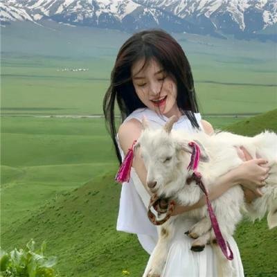 亲爱的大卫