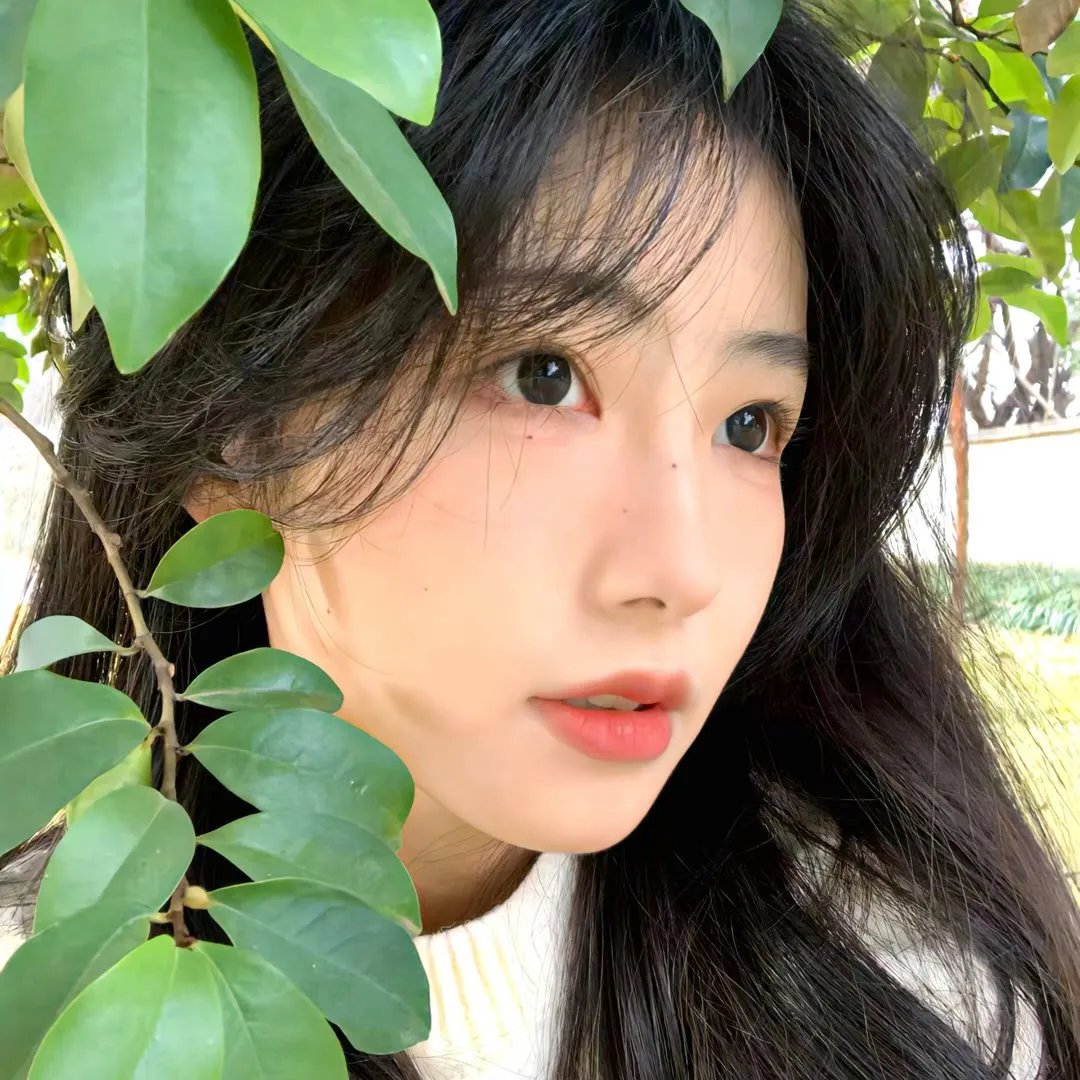 七星幻蝶墓